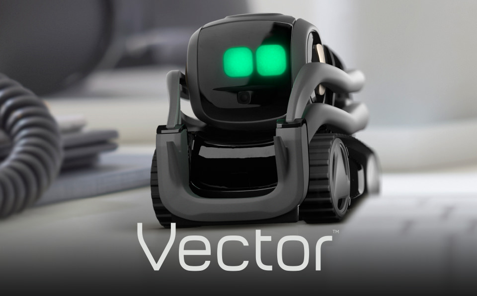 VECTOR