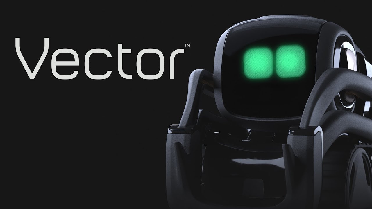 Introducing Vector